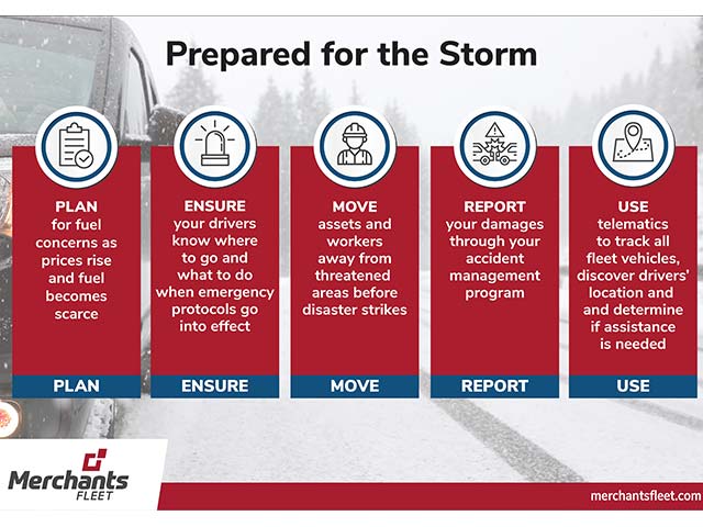 Infographic on storm preparedness: Plan, Ensure, Move, Report, Use. Steps with icons on a winter background.