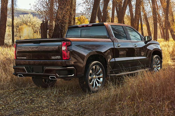 Brown pickup truck parked in a grassy wooded area during daylight.