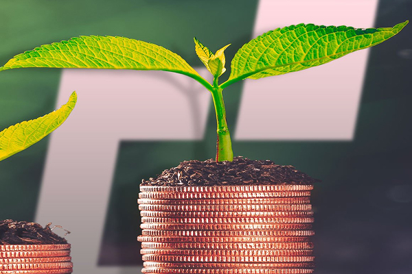 A small plant growing from stacks of coins, symbolizing financial growth and investment.